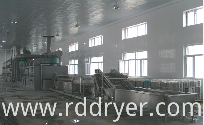 Mushroom Dryer Machine/drying machine